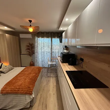 Orcadia Piscine Climatisation Parking Wifi Apartment Balaruc-les-Bains