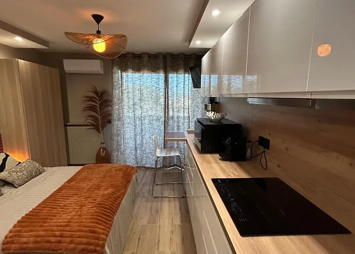 Orcadia Piscine Climatisation Parking Wifi 公寓 巴拉吕克莱班