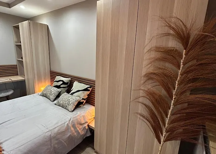 Orcadia Piscine Climatisation Parking Wifi *